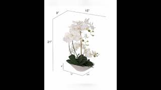 21 Inch Phalaenopsis Orchid Floral Arrangement in Decorative White Ceramic Vase  15” Diameter