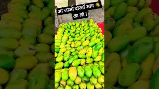 Mango Lover | Aam Lover #viral #trending #mango