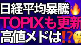 2024/1/22【日経平均】続伸📈TOPIXも33年11カ月ぶり高値更新🔥まだ上があるのか❓過去の推移から高値の目処チェック✅進撃の日本株の行方🤔