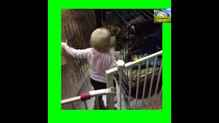 Funny Baby Compilation#5