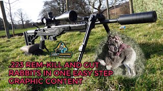 .223 daytime rabbit shoot, GRAPHIC CONTENT