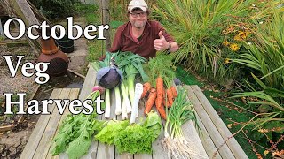 Allotment Diary : Still Cropping in October.