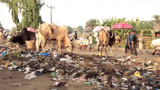 Arguably the Dirtiest Street Food Market in the World - Beyond Imagination