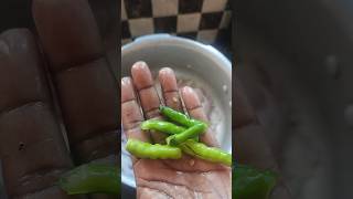 itni mirch wali sabji kaun khayega 😱😱😱😱😱😱 | #shorts #ytshorts #trending #food