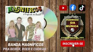 DVD Banda Magníficos - Pra Beber Roer e Chorar [DVD Forró Das Antigas] [DVD Clássicos do Forró]