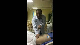 Abdominal Palpation Video I superficial