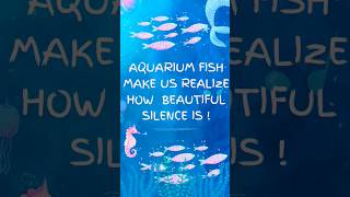 WHEN YOU REALIZE BEAUTY OF SILENCE WATCHING AQUARIUM FISH!#aquarium