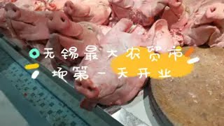 无锡最大春城农贸市场开张探店,比南禅寺朝阳菜场还大,便宜吗？