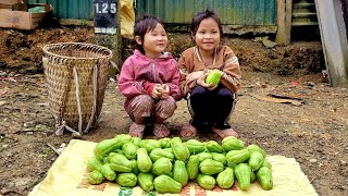 Two poor children picked chayote to sell and buy food - Ly Ton Quang