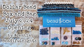 Dollar Bead Box and Bag July 2024 Opening