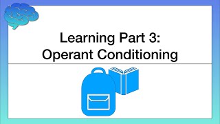 What is Operant Conditioning? How We Learn