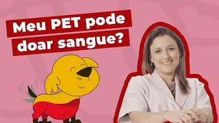 Meu PET pode doar sangue? | Inova Hospital Veterinário