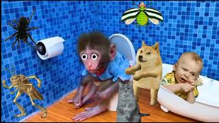 Baby monkey Bon Bon go to the toilet and playing with the puppy So cute=2022