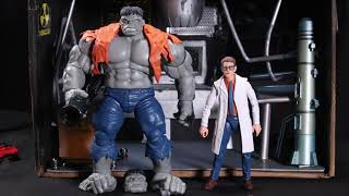 Hasbro Marvel Legends Series Gray Hulk and Dr. Bruce Banner Action Figure 2-Pack