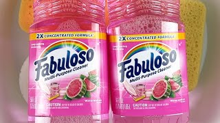 NEW Fabuloso Watermelon Review 🍉 ASMR SPONGE SQUEEZE 🤗