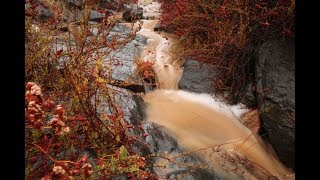 Relaxation - Sounds of Nature - Rare Desert Stormy Rain Stream - 2 Hours #rain #stream