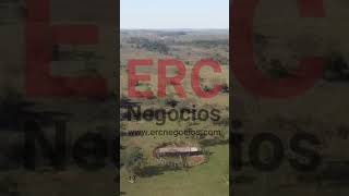 Quer comprar fazenda no Mato Grosso do Sul?! 200 alq, pecuária, mt água! #fazendasavenda