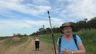 7.9.24 Natürführung Zwischen Hambacher Wald und Tagebau Hambach