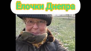 Иллюминации не будет#Днепр. Темно как в..#україна