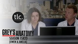 Greys Anatomy Owen & Amelia Season 15X23