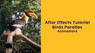 After Effects Birds Parallax Animation from Still Images  Tutorials | Parallax video Time Lapse