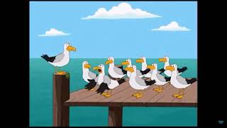 Family Guy - Seagulls