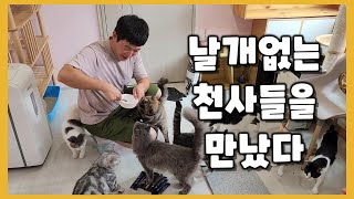 봉사가서 천사같은 아이들과 천사같은 사람들을 만났습니다(feat. 마이도미넌트)