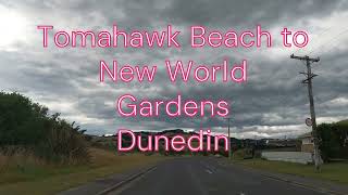 Tomahawk Beach to New World Gardens | Dunedin Drive | 4K | Summer 2024