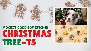 DIY Christmas TREE-Ts for Dogs! (Homemade Doggy Christmas Cookies)