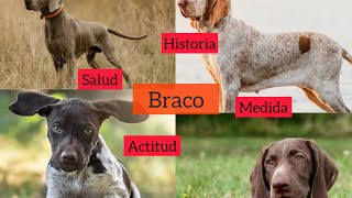 El BRACO- Historia, Salud, Actitud y mucho más