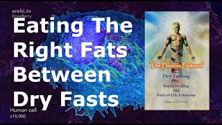 Eating The Right Fats Between Dry Fasts #life #new #livetipsandtricks