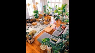 HOW TO DECOR INDOOR PLANTS | TOP 30 INDOOR PLANTS DECOR IDEAS | INDOOR PLANTS INTERIOR DESIGN IDEAS