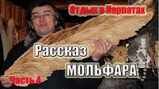 Рассказ Мольфара. Отдых в Карпатах #4. #мольфар