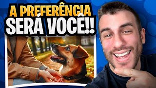 Como Fazer O Cachorro Me Dar Preferência No Passeio