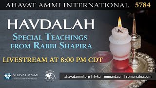 Join us for Havdalah and a Teaching from Rabbi Shapira