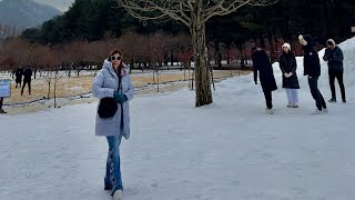 📍NAMI ISLAND JANUARY 02, 2024 WINTER TOUR SOUTH KOREA