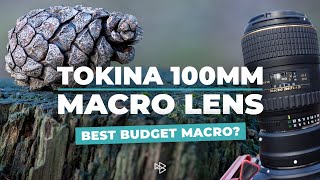 Is This the Best Budget Macro Lens You Can Get?