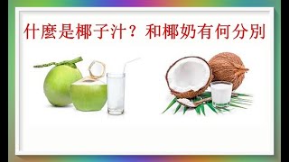 什麼是椰子汁？和椰奶有何分別？（有字 幕）