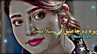 Peera Da Cha lshqg Ke Mubtila Yama  | Pashto New Songs | @Chicks4kids