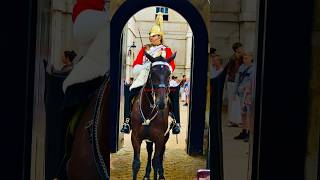 #royalguard #horseguards #london #shorts #shortvideo #shortsyoutube #feedshorts #feed #viralvideo