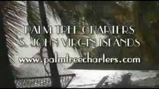 Palm Tree TV goes to The BVI.flv