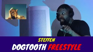 STEFFISDOPE | DOGTOOTH [FREESTYLE] [2023]