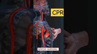 CPR | cardiopulmonary resuscitation  | #nclex #doctor #cpr #shorts #trending #heartattack #hospital