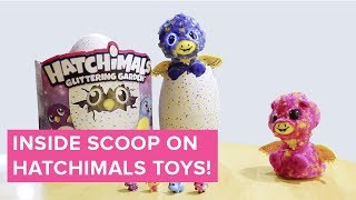 Inside Scoop on HATCHIMALS TOYS!