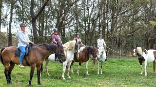 womens equine afternoon for web