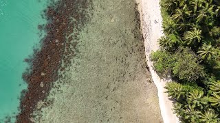 Port Barton ° White Beach | Palawan | Philippines