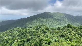 El Yunque National Forest, PR