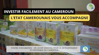 Reportage Business au Cameroun , L'Incroyable Incubateur de Startup Camerounaise