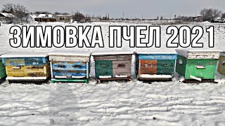 ЗИМОВКА ПЧЕЛ 2021. Как зимуют рои пчел !!! 29.01.2021