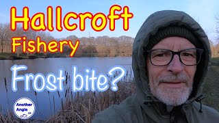 Fingers nearly dropped off : Feeder Fishing at Hallcroft Fishery : No Blanks Allowed